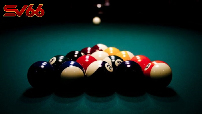 Cá Cược Bida Tại SV66 - Khám Phá Hành Trình Giải Trí Đỉnh Cao 7 Cá Cược Bida Là Gì? Vì Sao Nên Chọn SV66?