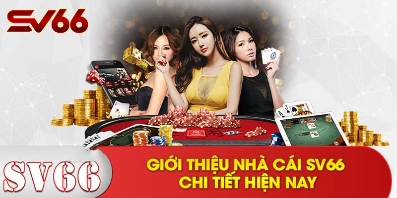 Giới Thiệu SV66 - Khám Phá Thế Giới Giải Trí Đỉnh Cao 1 Giới Thiệu SV66: Hành Trình Xây Dựng Thương Hiệu Uy Tín