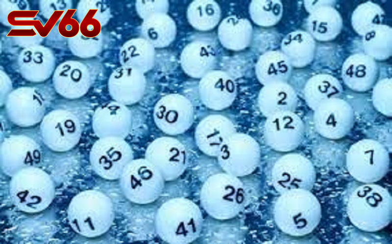 Nuôi Dàn Đề 50 Số Tại SV66 - Khám Phá Hành Trình Chinh Phục Thắng Lợi 3 Những Lưu Ý Khi Nuôi Dàn Đề 50 Số Tại SV66
