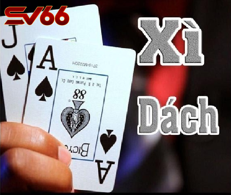 Cách Chơi Xì Dách SV66 - Bí Quyết Chinh Phục Hành Trang Cho Game Thủ 2 Tìm Hiểu Cách Chơi Xì Dách: Luật Cơ Bản Dễ Hiểu
